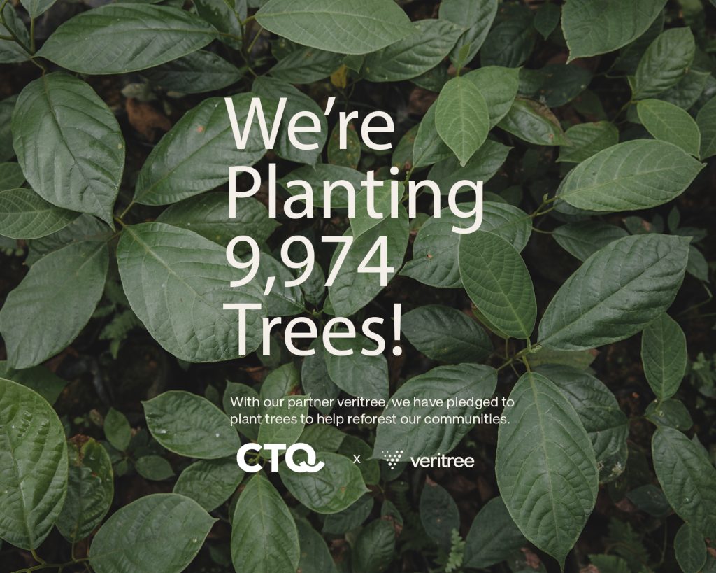 CTQ Consultants Plant 9,974 Trees in Partnership with veritree