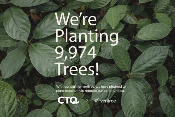 CTQ Consultants Plant 9,974 Trees in Partnership with veritree