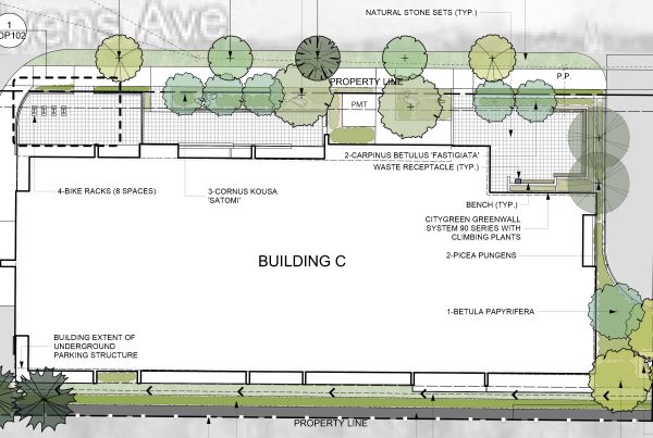 CTQ Landscape Architecture at Nivens Ave in Dartmouth